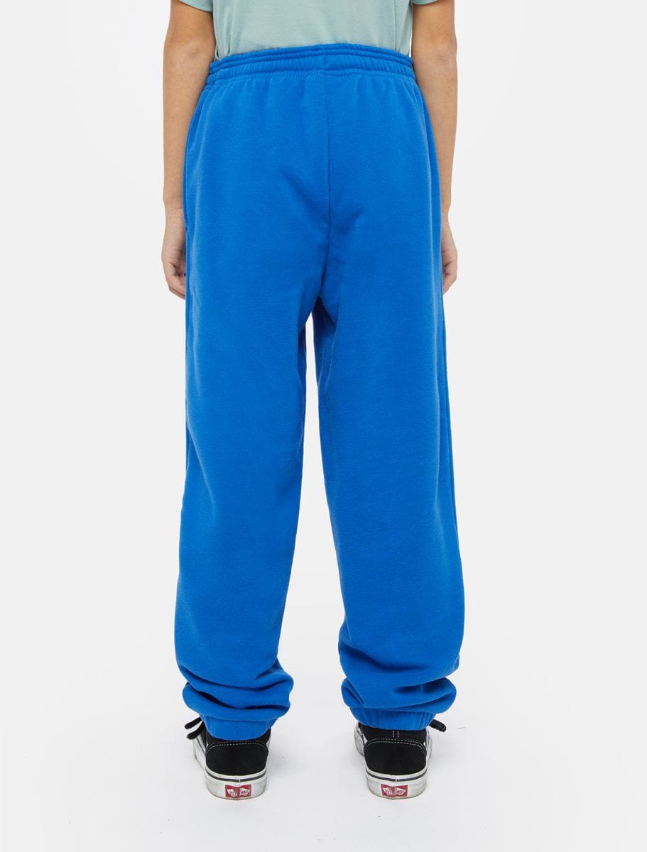 Dickies Kids Mapleton Collegehousut - Sininen