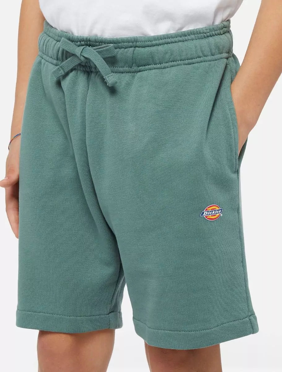 Dickies Kids Mapleton Collegeshortsit - Vihreä
