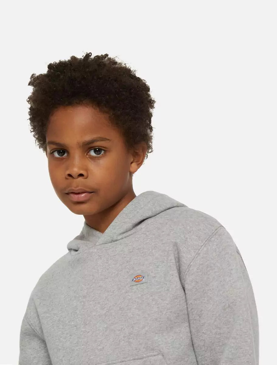 Dickies Kids Oakport Huppari Harmaa