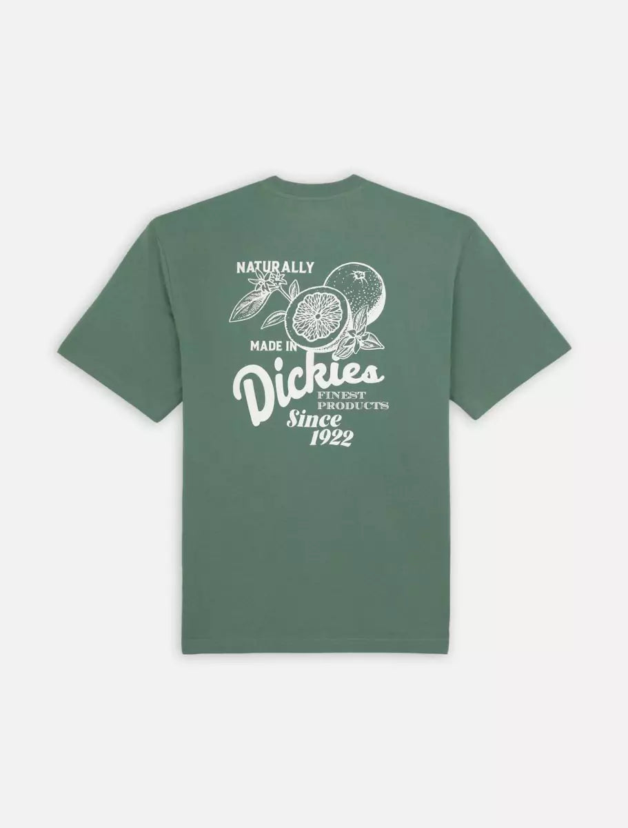 Dickies Raven T-paita Vihreä