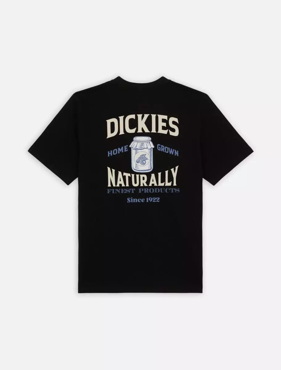 Dickies Elliston T-paita Musta