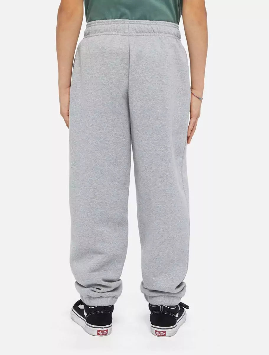 Dickies Kids Mapleton Collegehousut Harmaa