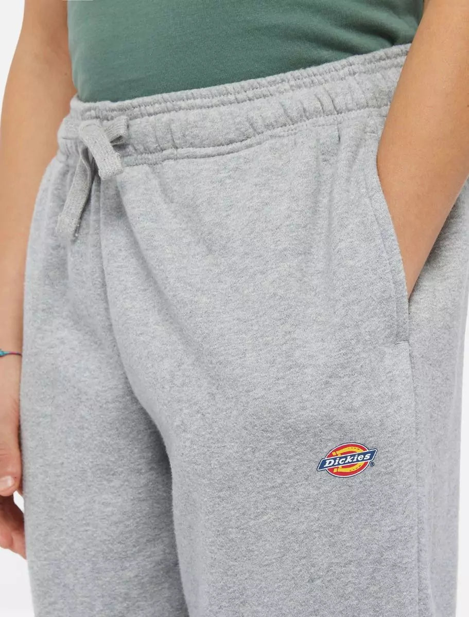 Dickies Kids Mapleton Collegehousut Harmaa