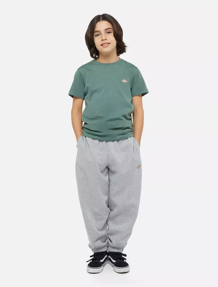 Dickies Kids Mapleton Collegehousut Harmaa