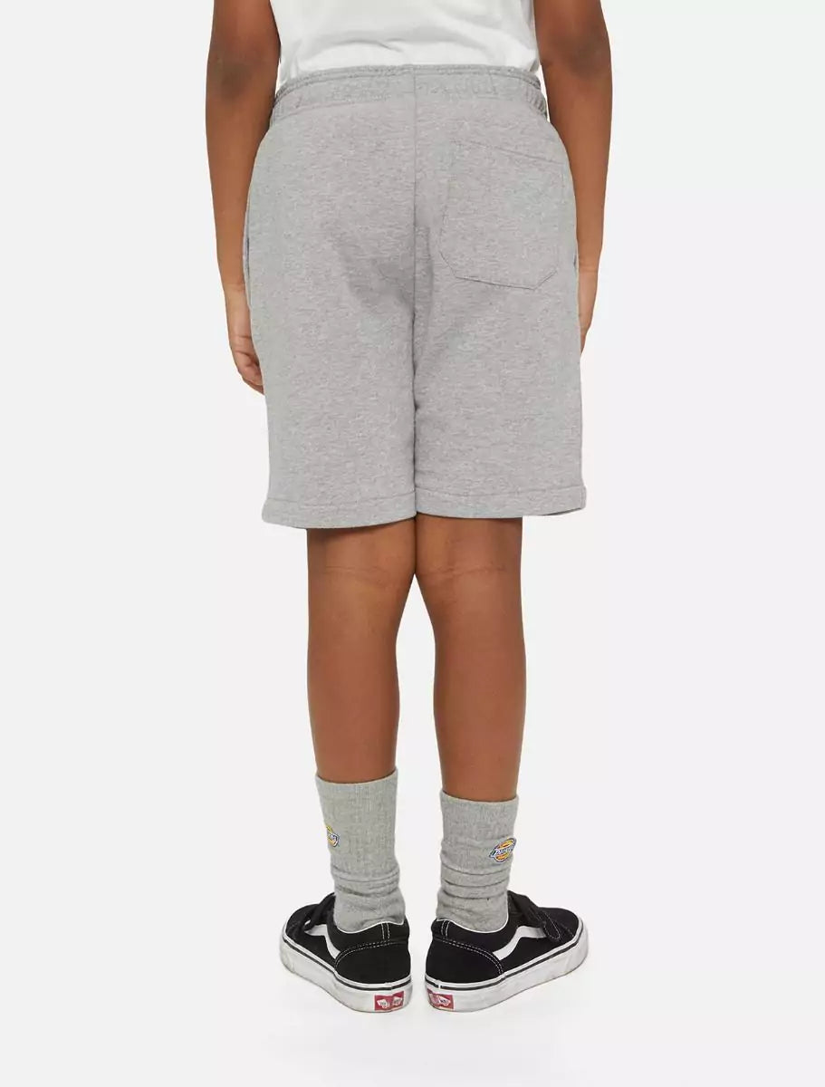 Dickies Kids Mapleton Collegeshortsit Harmaa