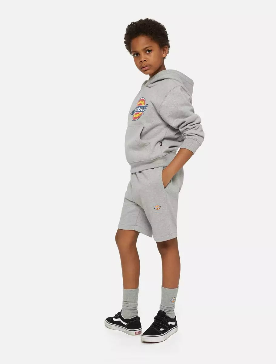 Dickies Kids Mapleton Collegeshortsit Harmaa