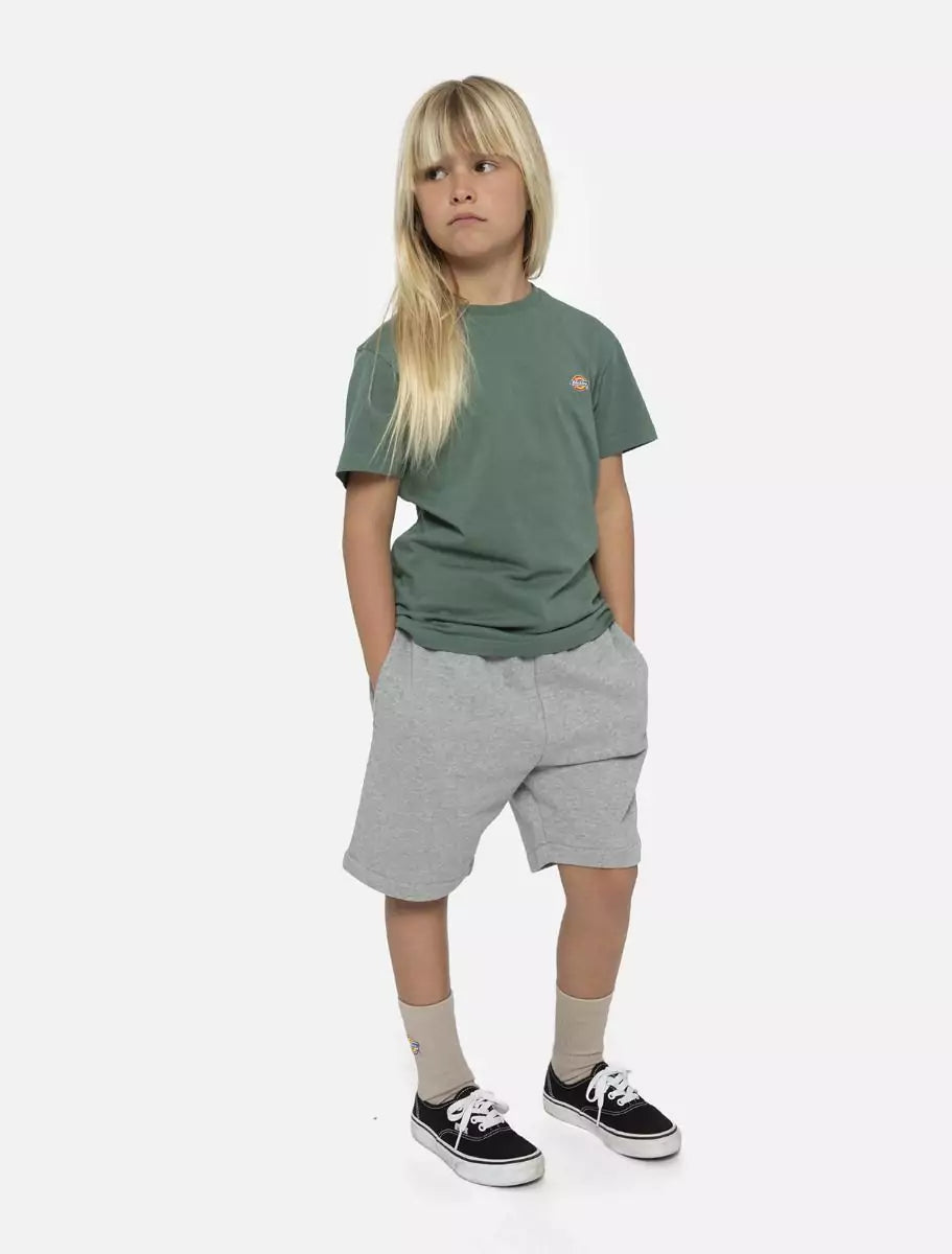 Dickies Kids Mapleton Collegeshortsit Harmaa