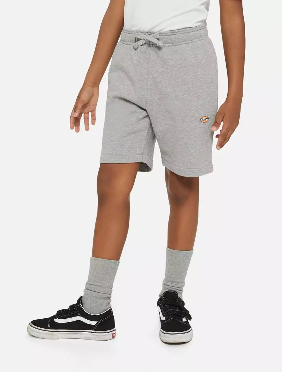 Dickies Kids Mapleton Collegeshortsit Harmaa