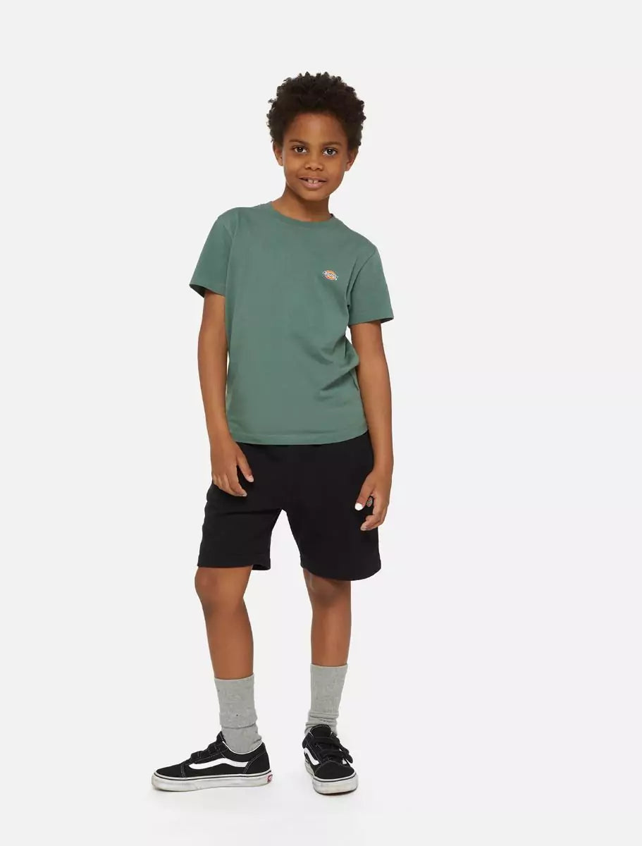 Dickies Kids Mapleton Collegeshortsit Musta