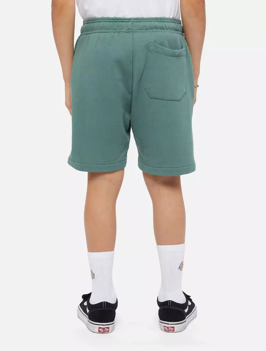 Dickies Kids Mapleton Collegeshortsit - Vihreä