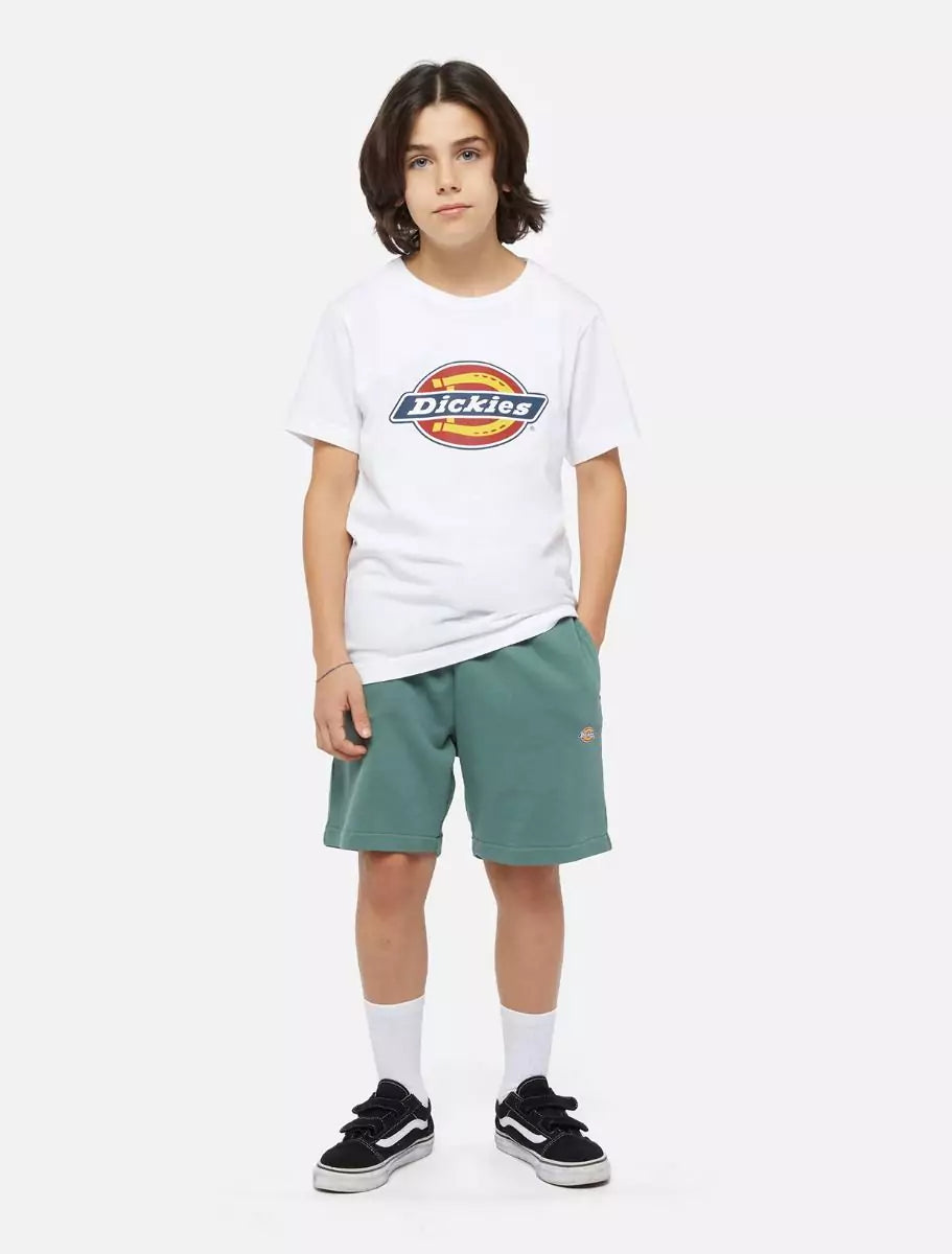 Dickies Kids Mapleton Collegeshortsit - Vihreä