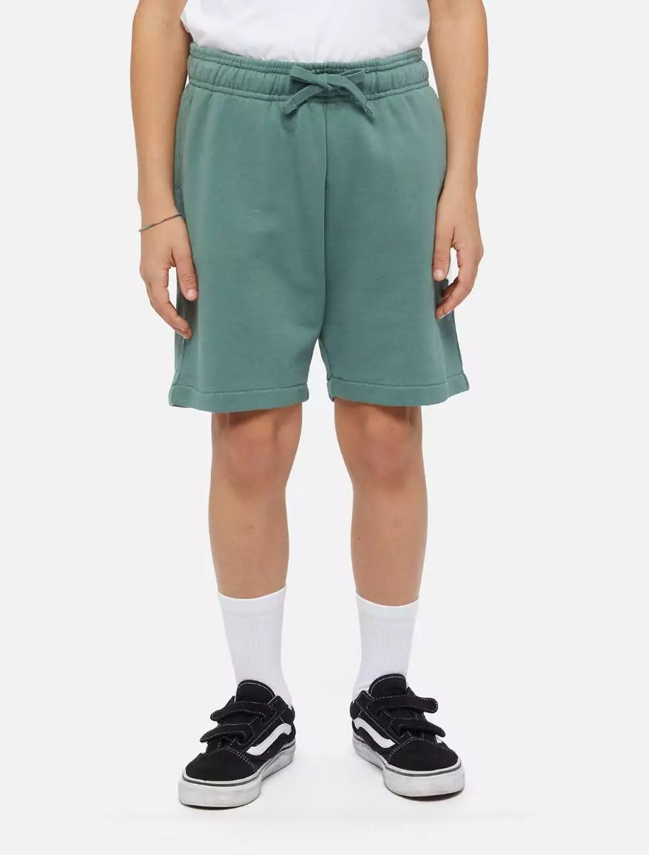 Dickies Kids Mapleton Collegeshortsit - Vihreä