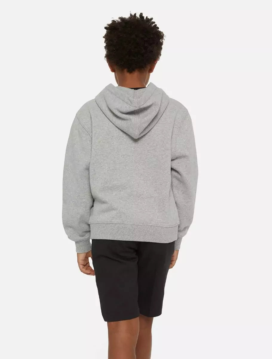 Dickies Kids Oakport Huppari Harmaa