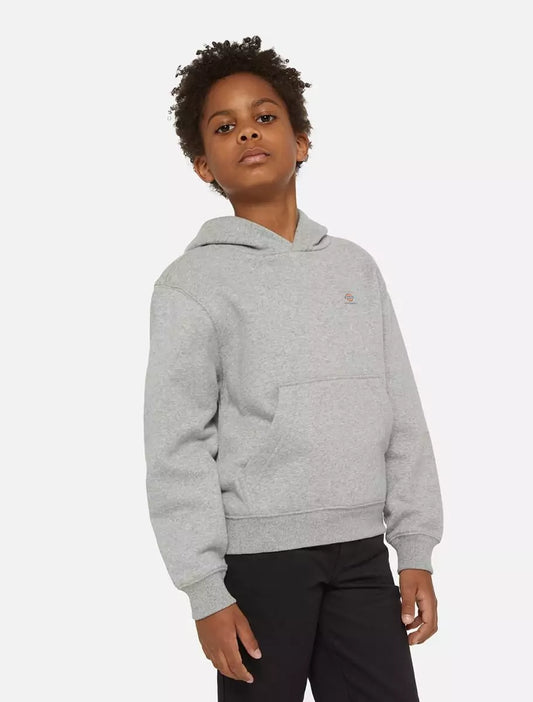 Dickies Kids Oakport Huppari Harmaa