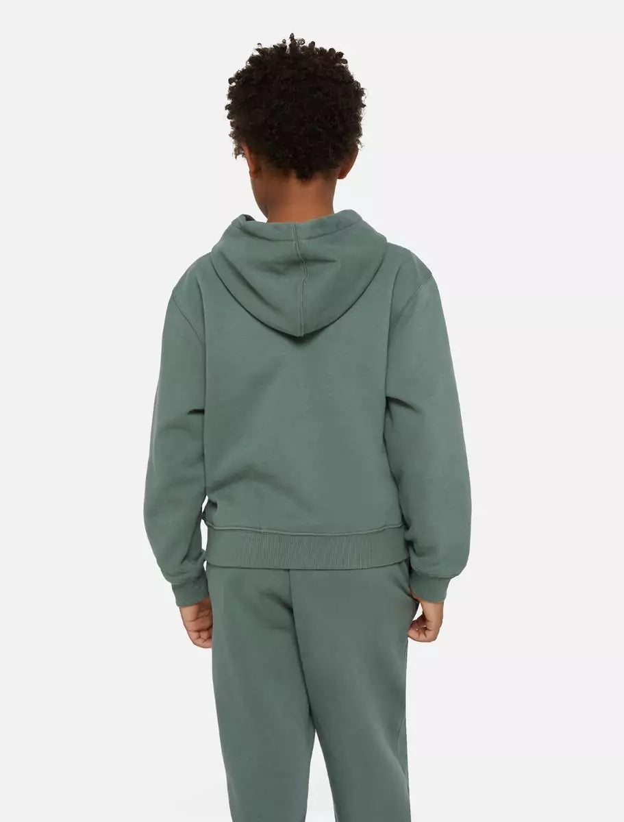 Dickies Kids Oakport Huppari Vihreä