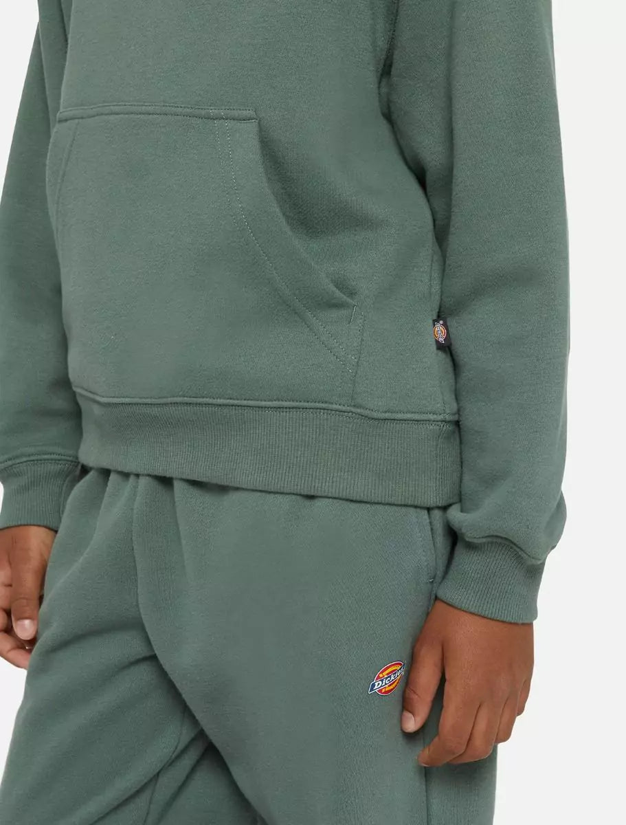 Dickies Kids Oakport Huppari Vihreä
