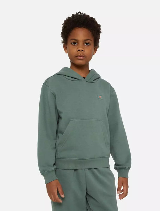 Dickies Kids Oakport Huppari Vihreä