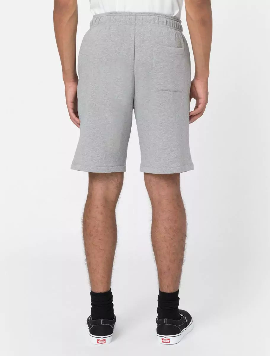 Dickies Mapleton Collegeshortsit Harmaa
