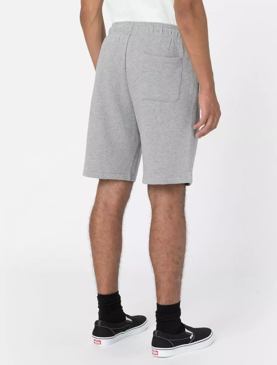 Dickies Mapleton Collegeshortsit Harmaa