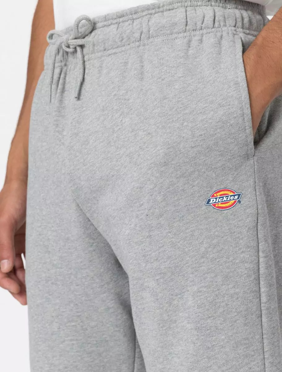 Dickies Mapleton Collegeshortsit Harmaa