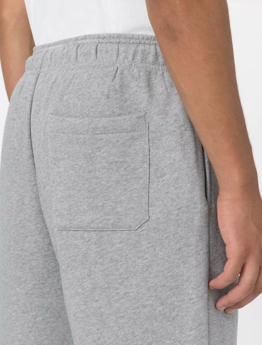 Dickies Mapleton Collegeshortsit Harmaa