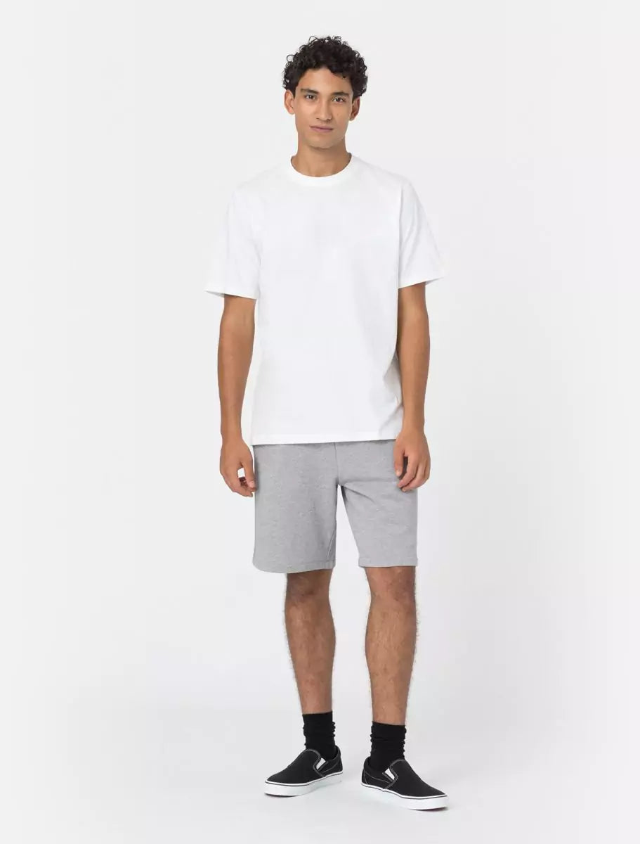 Dickies Mapleton Collegeshortsit Harmaa