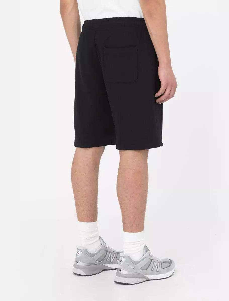 Dickies Mapleton Collegeshortsit Musta