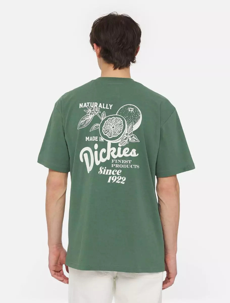 Dickies Raven T-paita Vihreä