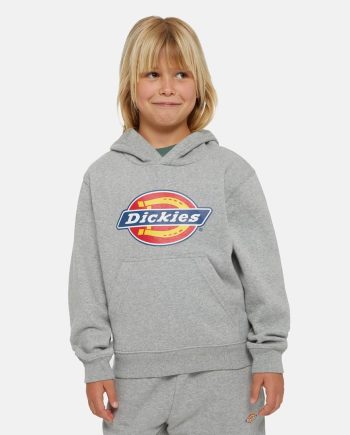 Dickies Kids Logo Huppari Harmaa