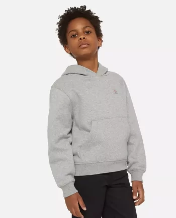 Dickies Kids Oakport Huppari Harmaa